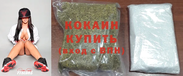 spice Бородино